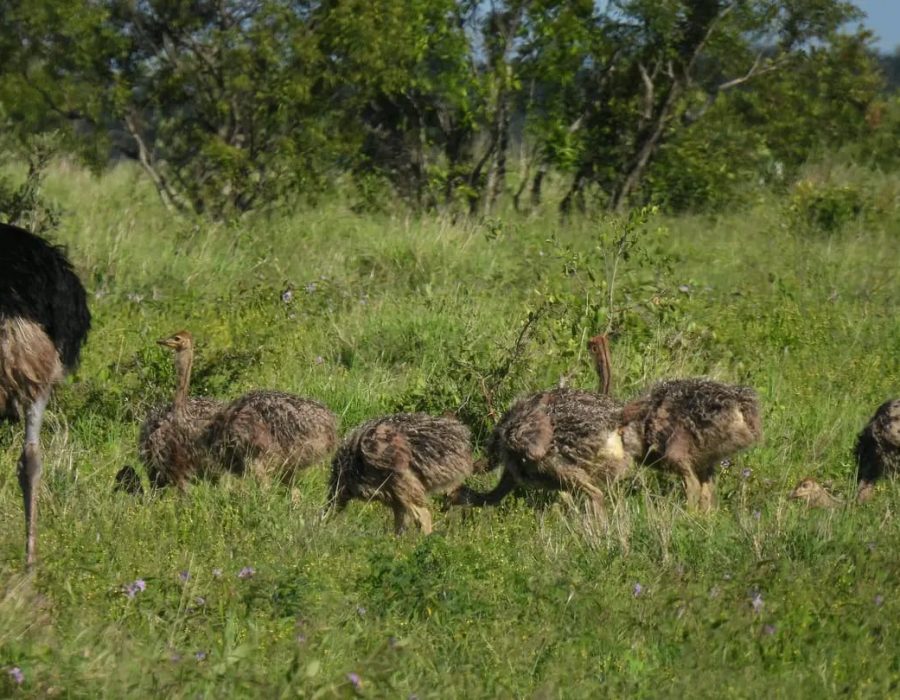 WhatsApp Image 2025-05-14 at 22.11.22 (1)